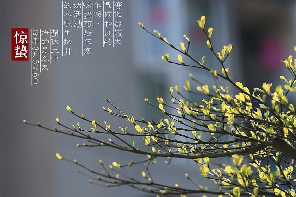 惊蛰会下雨吗 惊蛰天气有什么变化