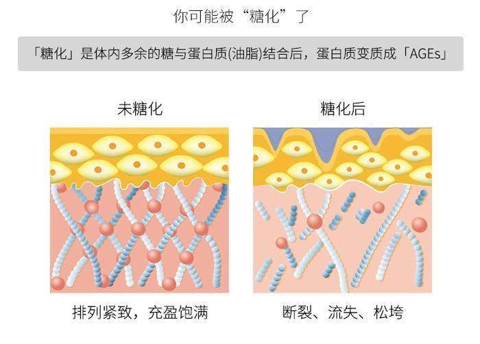 抗糖化是伪科学吗？要不你和那些坚持抗糖化的人比一比吧！