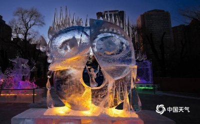 ​冰之美！哈尔滨冰雕大赛冰雕作品美如精灵