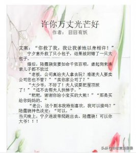 ​《许你万丈光芒好》男主宠妻如命，虐狗连连