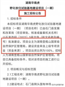 ​野生华南虎走来了，要在这座大山建新家，将成为湖南的新名片？