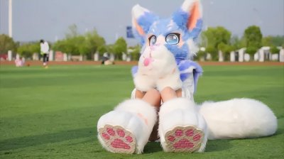 ​什么是FURRY？