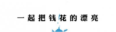 ​日本马桶攻占世界百年史