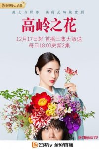 ​《高岭之花》开播 石原里美演绎现实版“美女与野兽”