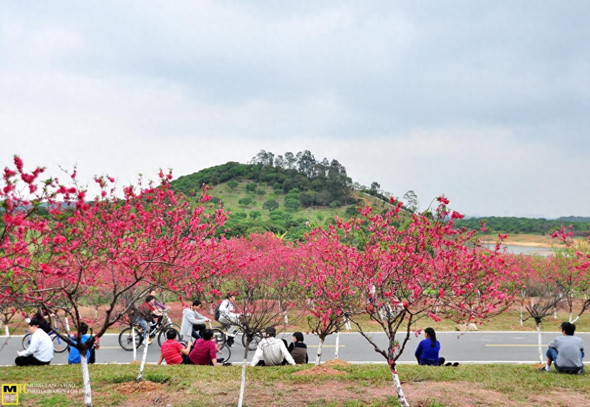 东莞市松山湖景区九大旅游景点欣赏 够您游玩一整天了