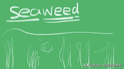 ​seaweed什么意思