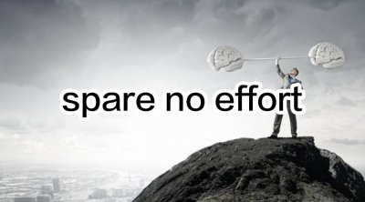 ​“spare no effort”到底是“努力”还是“不努力”呢？