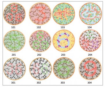 ​超全色盲色弱测试图（学车专用）
