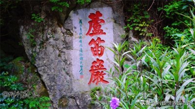 ​芦笛岩景区：被誉为“大自然艺术之宫”，美景堪称最佳