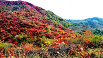 ​赏漫山红叶，品田园家常，女娲神话之乡娲皇谷