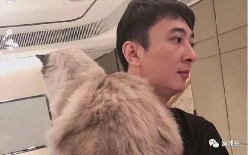 王思聪：我的猫20万，秦奋：我的狗300万，网友：我的狗不用钱