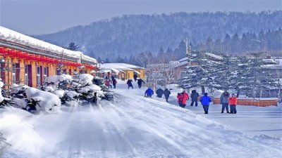 ​东北最美雪村，南方人最喜欢来的地方，冻梨要3块钱“一个”