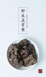 ​虎掌菌‖菌中贵族，王朝贡品