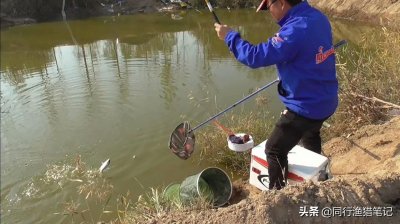 ​天冷钓鱼钓深还是浅（天气变凉时怎么判断钓深还是钓浅）