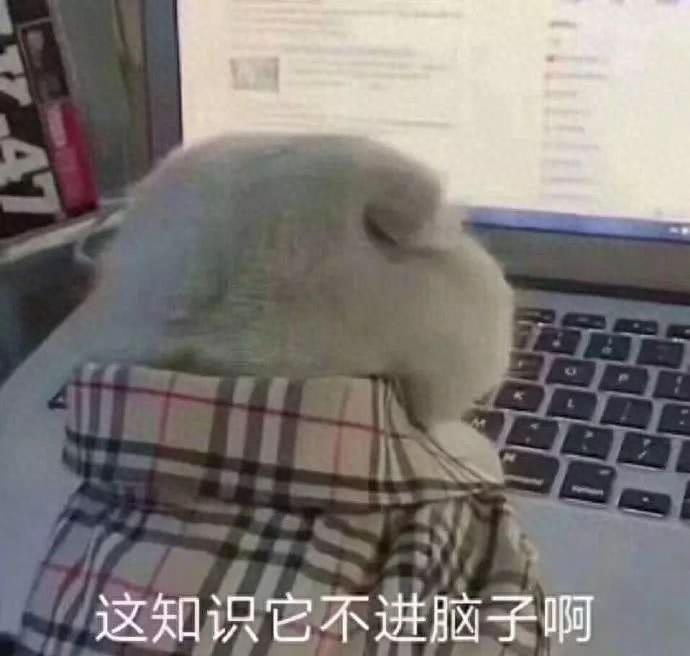 表情包：猛亲一口