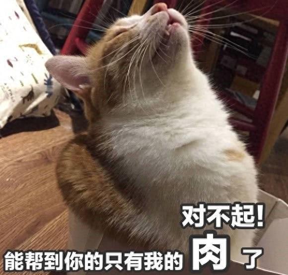 表情包：猛亲一口