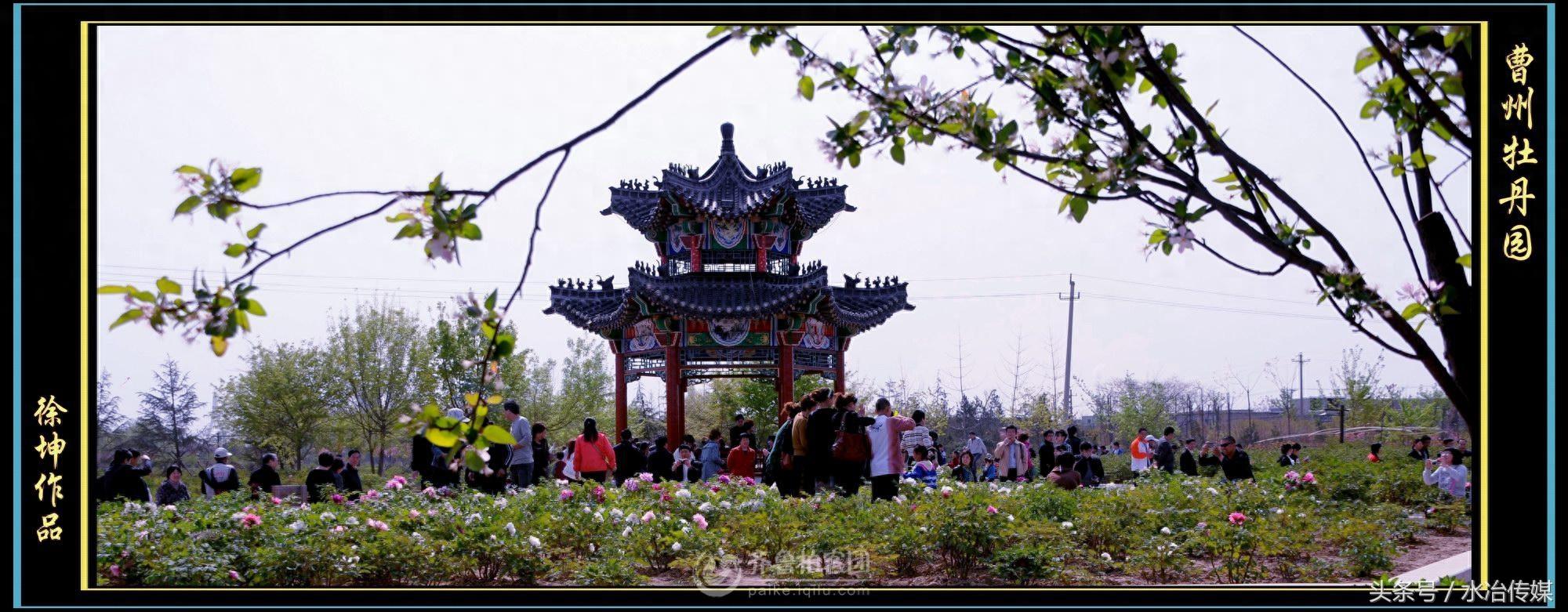 山东菏泽曹州牡丹园