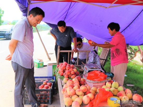 农民种植10亩桃子，采摘价每斤4元，猜一猜年赚多少钱？