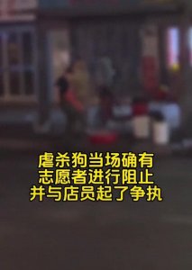 ​武汉店员当街烫死怀孕流浪狗后续，店面被曝光，爱狗人士聚集抗议