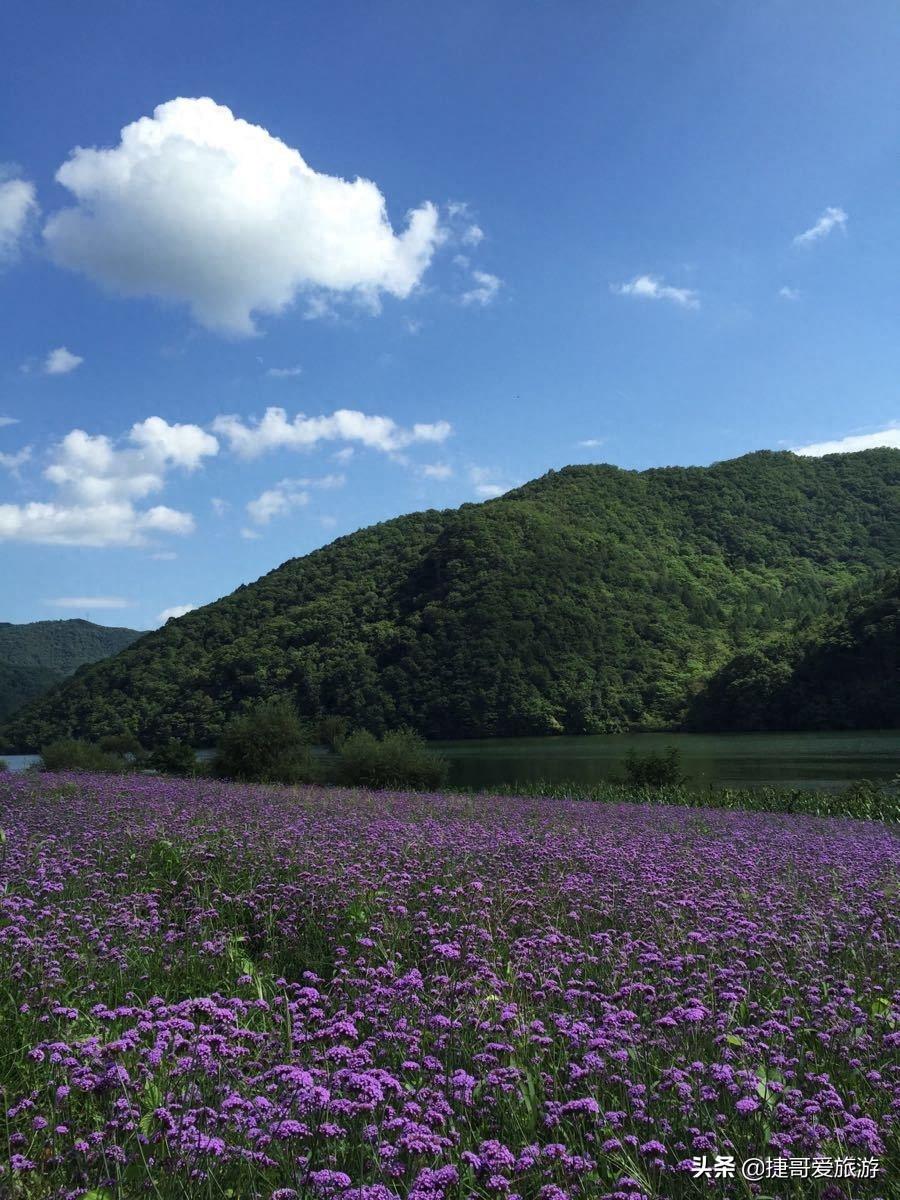 辽宁省 丹东市 青山沟