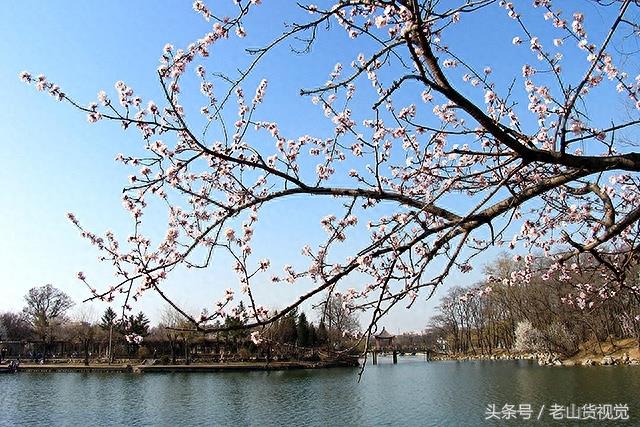 辽宁鞍山，二一九公园