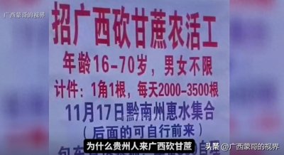 ​为什么贵州人来广西砍甘蔗，而在广东的广西人却不回来砍呢？